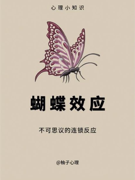 蝴蝶效应：微小变化如何引发巨大影响