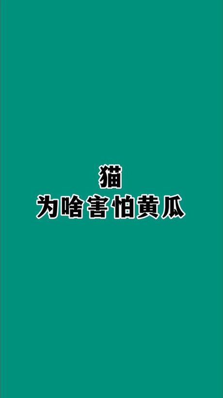 猫为什么怕黄瓜？