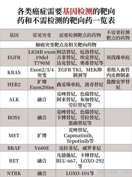 靶向药基因检测：费用与重要性