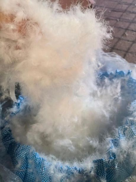 鹅绒被可以晒太阳吗？