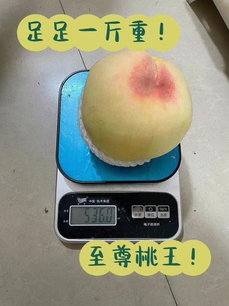 一个桃子的重量
