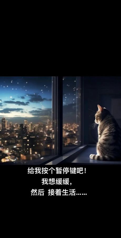 “口我”是什么：网络语言的内涵与演变