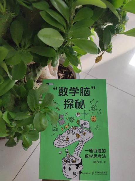 探秘数字世界的基础：什么是Bits？