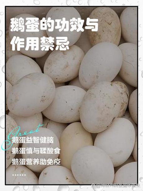 鹅蛋的美味食用方法
