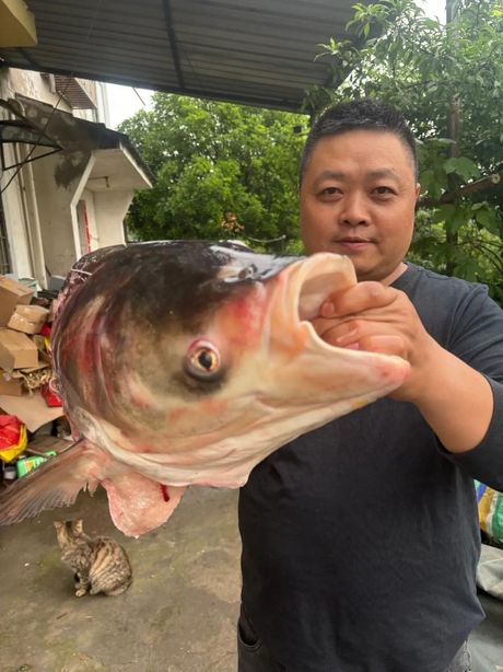 大头鱼烹饪指南：如何做出美味的大头鱼