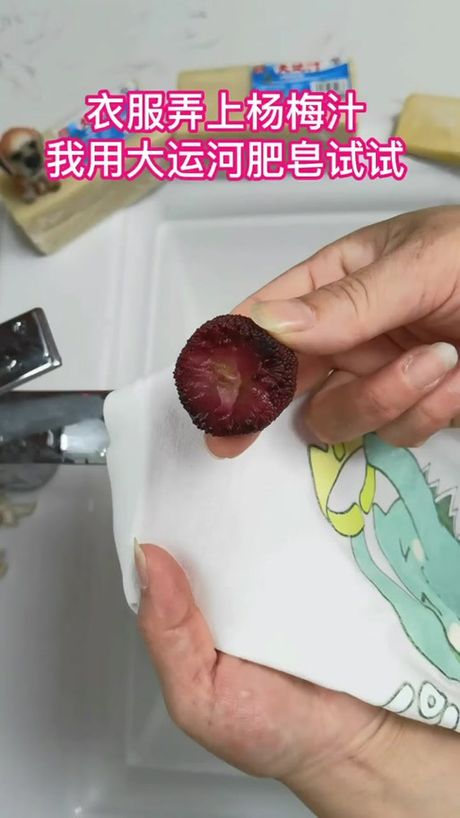 衣服上的杨梅汁怎么洗：多种方法大揭秘