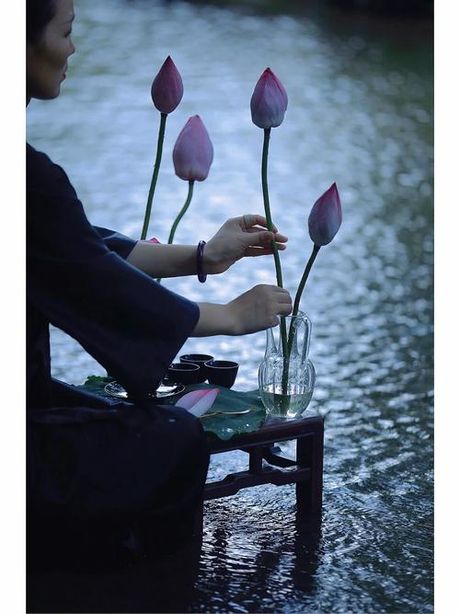 碧莲：探寻其深层含义