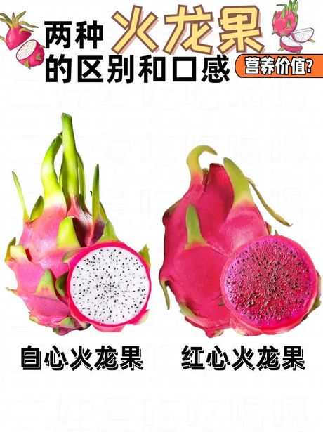 如何挑选火龙果：从外观到口感