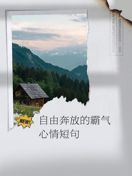 挥洒自如：艺术与自由的完美结合