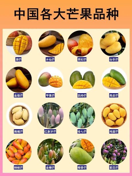 澳芒怎么吃：探索这种美味热带水果的多种食用方式