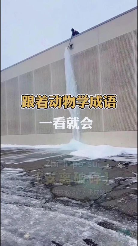 成群结队的意思