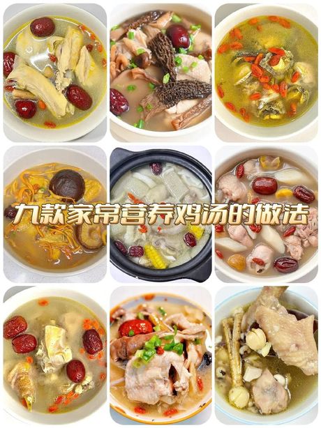 炖鸡汤的做法