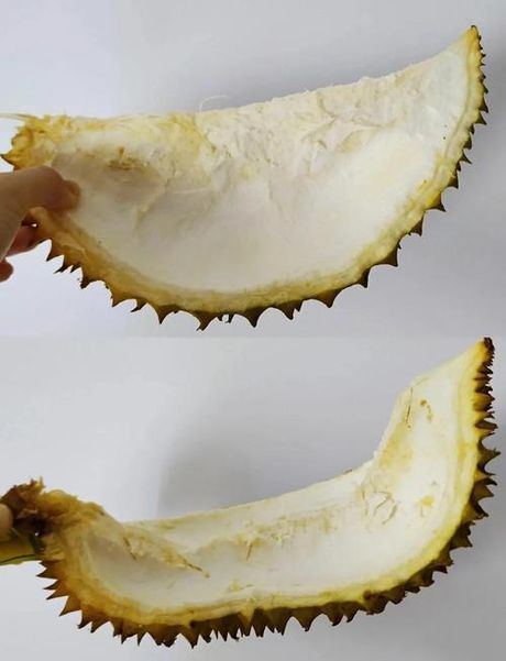 榴莲壳怎么处理，榴莲壳处理技术大全