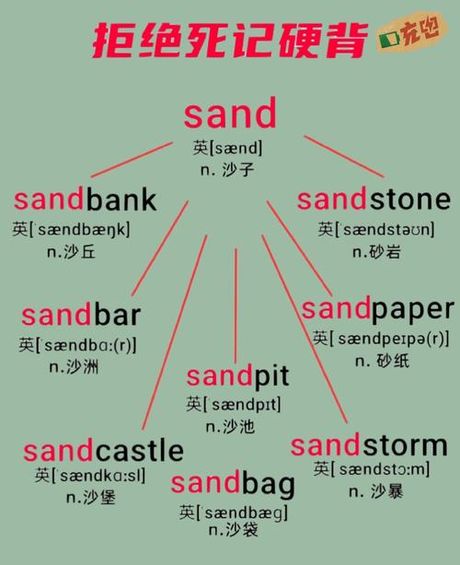 sandra怎么读，Sandra的发音与含义