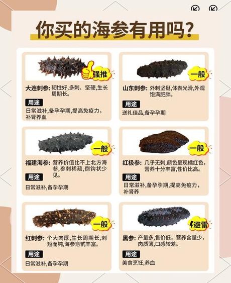 辽参多少钱一斤，辽参价格走势分析