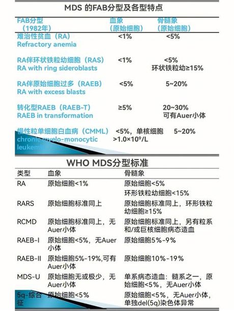 骨髓增生异常综合征：了解与预期寿命