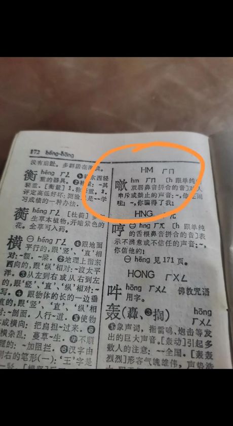 徧怎么读，“徧”字的读音与解析