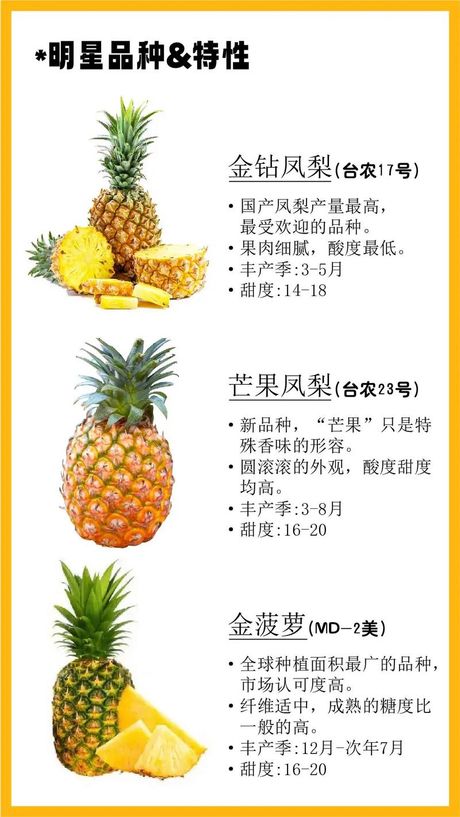 菠萝产地大揭秘