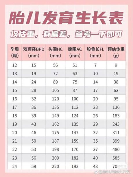 bpd是什么意思，BPD是什么意思