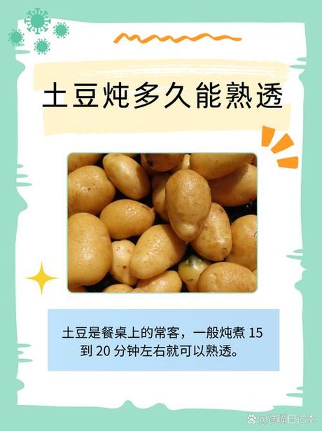 土豆煮多久熟：科学解析与烹饪技巧