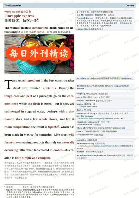 dish是什么意思：深入探索这个多义词