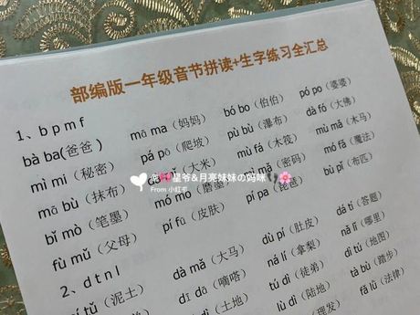 真拼音的奥秘：拼写与发音的艺术