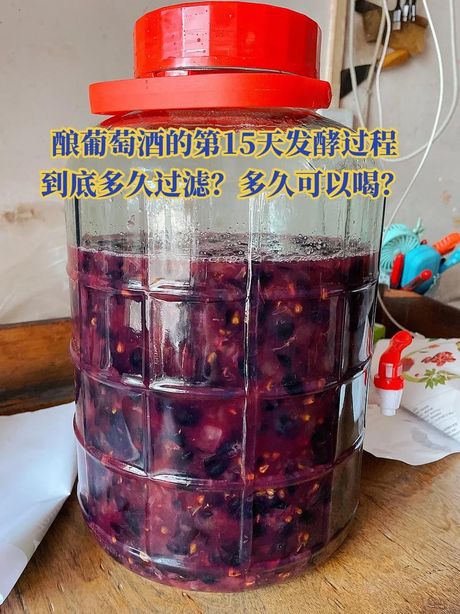 自酿葡萄酒：多久可以喝？
