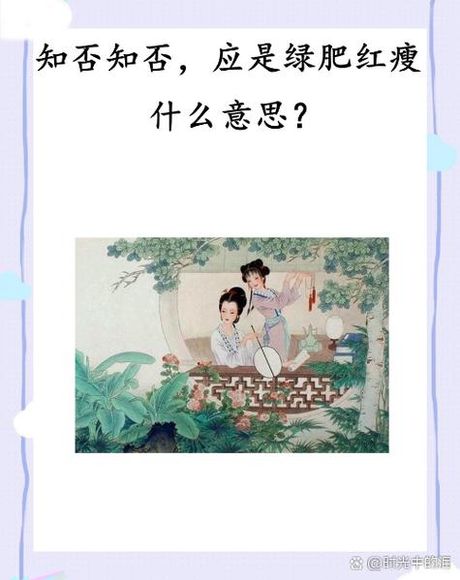 “应是绿肥红瘦红花”的意义与起源