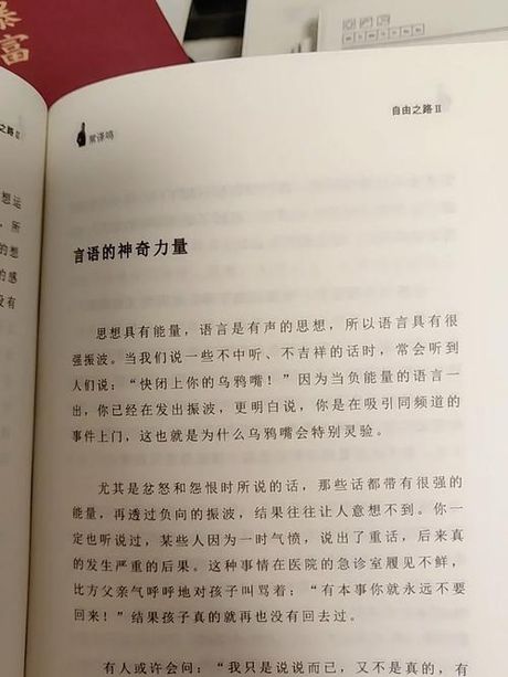 气魄：超越言语的力量