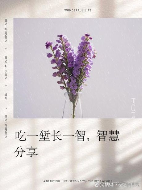 吃一堑长一智：智慧的磨砺