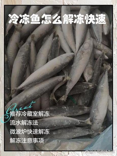 鱼放冰箱冻多久不能吃