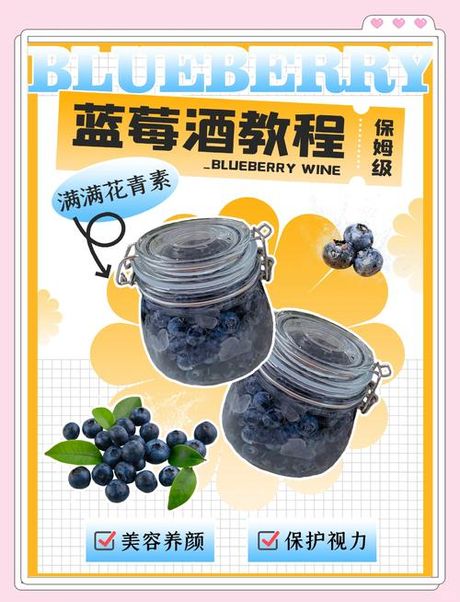 一斤蓝莓做多少蓝莓酒