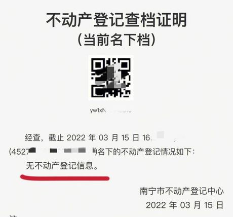 无房证明跨市查询：可能性与限制