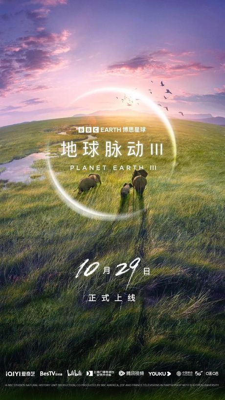抖音：全球现象级的短视频平台