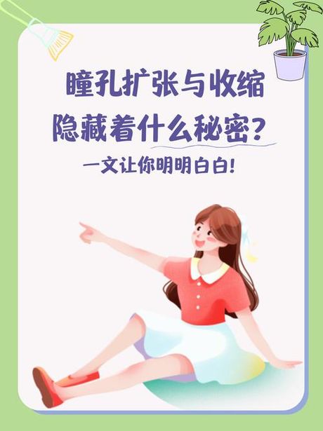 瞳仁的秘密：眼睛的窗户