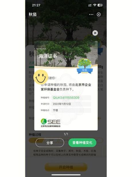 Alipay 的正确读音