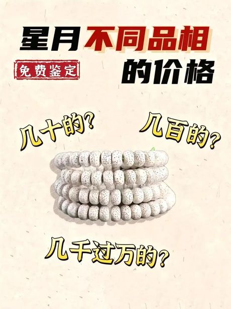 星月菩提价格揭秘