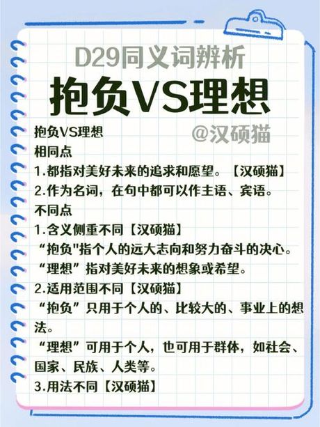抱负是什么意思