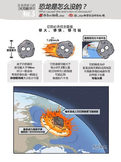 恐龙灭绝之谜：小行星撞击与生物多样性衰退