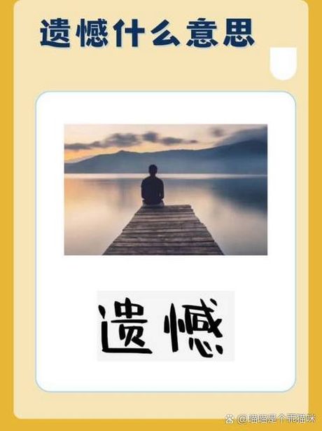 遗憾的意思