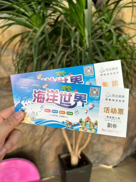 探索海洋馆：门票价格揭秘
