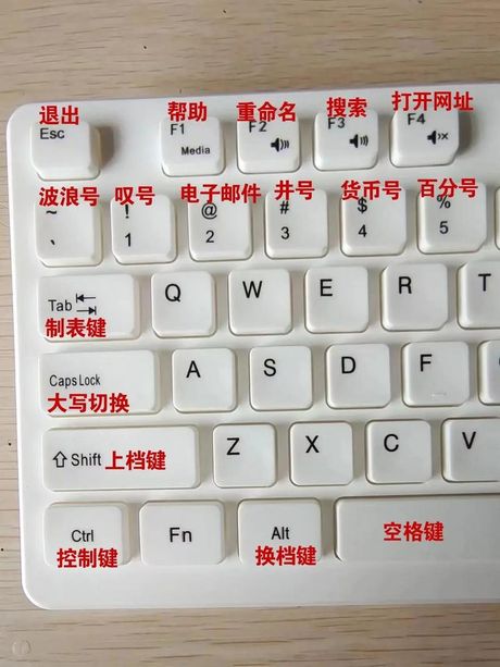 修笔记本键盘要多少钱？