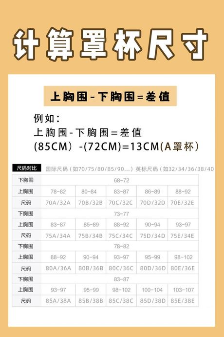 杯罩大小怎么算？
