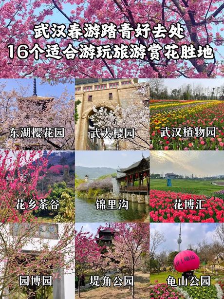 春天旅游好去处