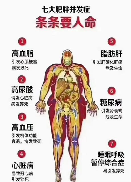 大腹便便：揭秘腹部肥胖的秘密