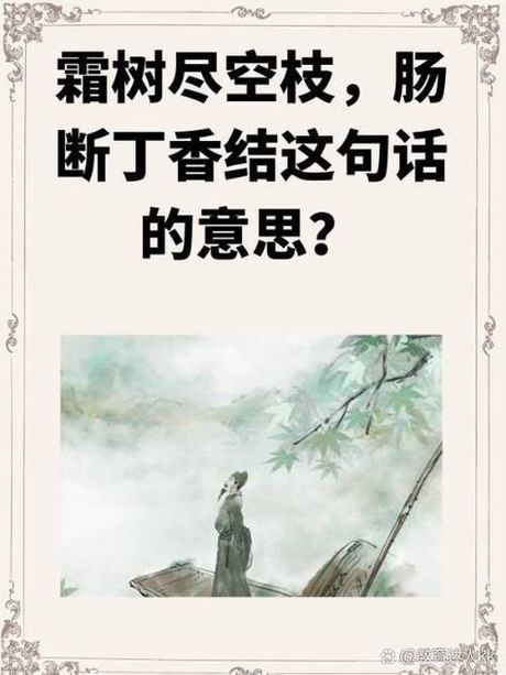 霜树尽空枝肠断丁香结：杜甫《春望》中的深意解读