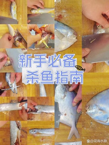 怎么杀鱼，杀鱼技巧详解