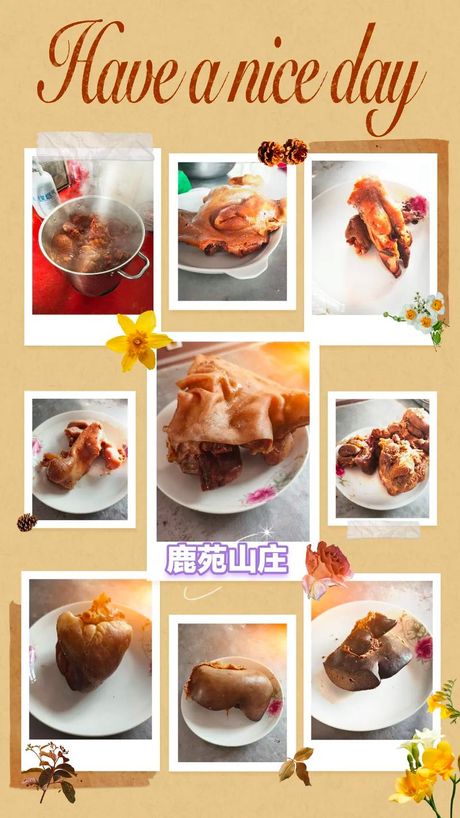 鹿肉烹饪指南：如何做出美味的鹿肉佳肴