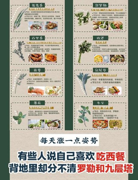西葫芦可以和什么菜炒，西百搭炒菜食材指南
