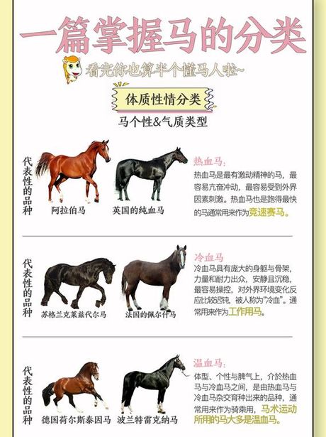 马子是什么意思，马子的多重含义及来源